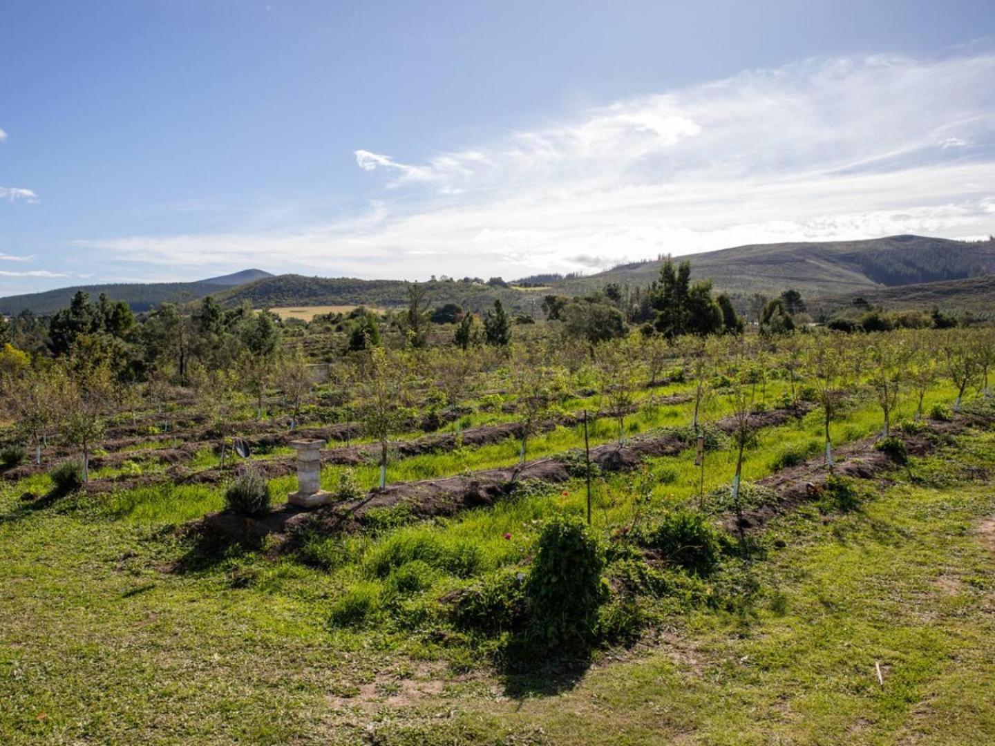 20 Good Summers Farm Stay The Crags Eksteriør billede