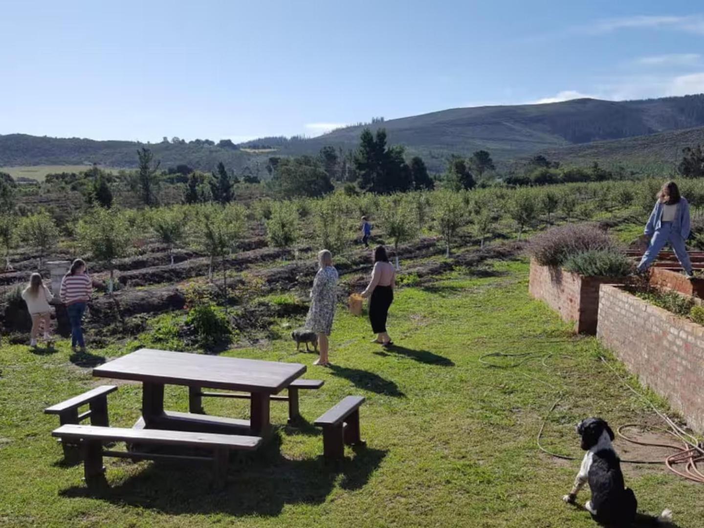 20 Good Summers Farm Stay The Crags Eksteriør billede