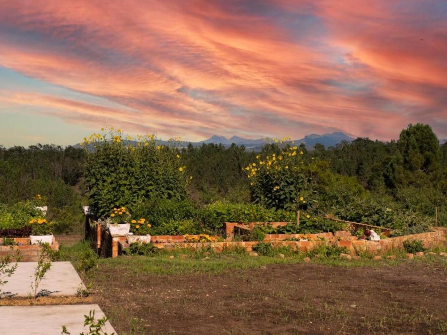 20 Good Summers Farm Stay The Crags Eksteriør billede