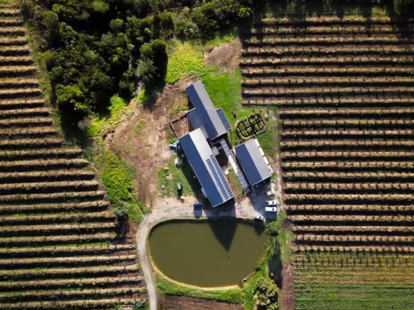 20 Good Summers Farm Stay The Crags Eksteriør billede