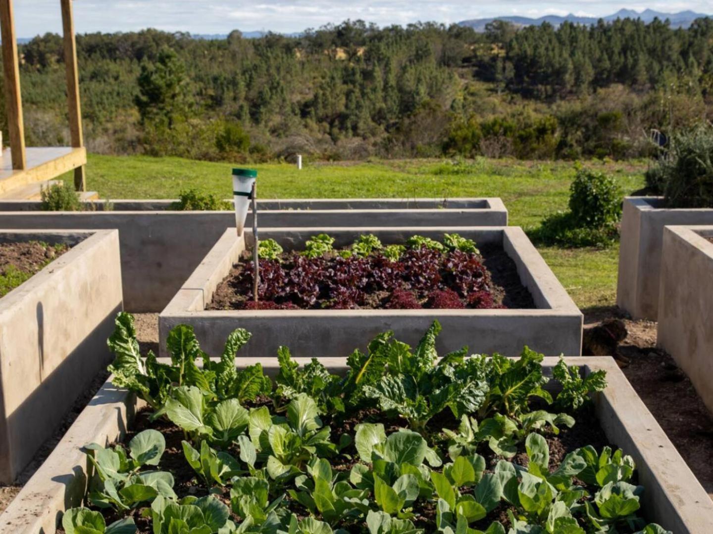 20 Good Summers Farm Stay The Crags Eksteriør billede
