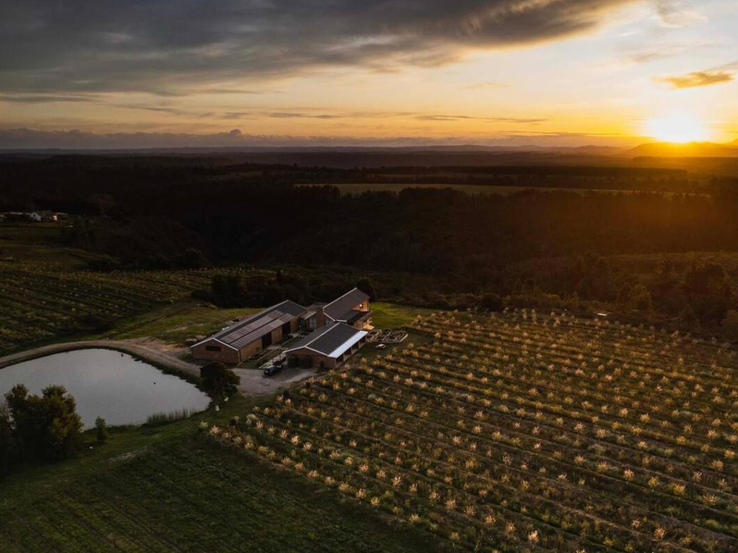 20 Good Summers Farm Stay The Crags Eksteriør billede